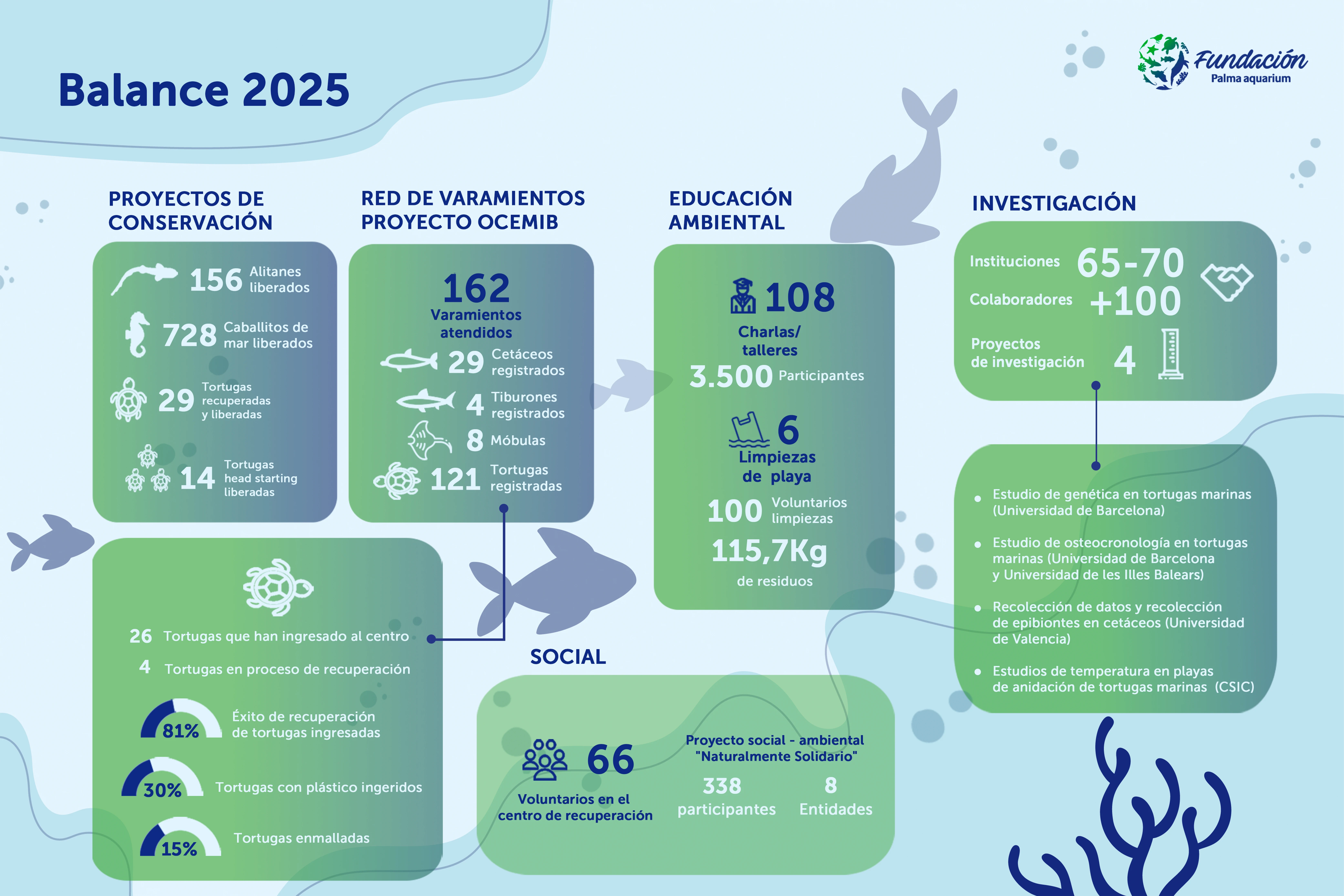 Fundación Palma Aquarium: conservar, investigar y proteger la fauna marina