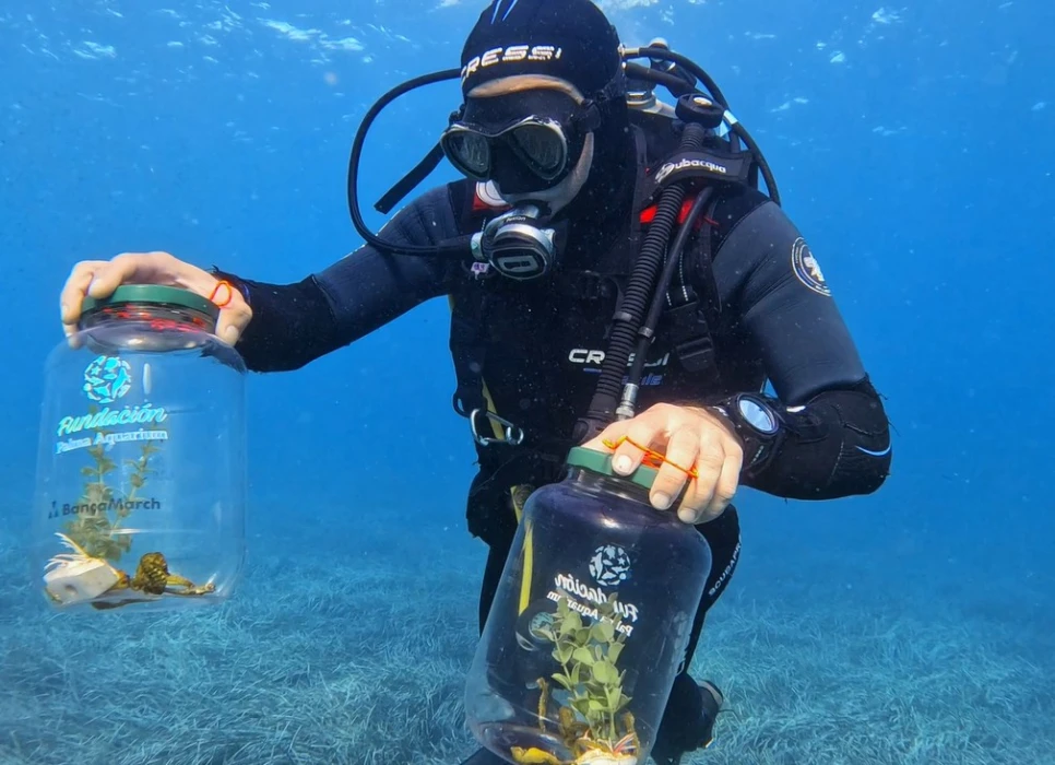 Fundación Palma Aquarium: conservar, investigar y proteger la fauna marina