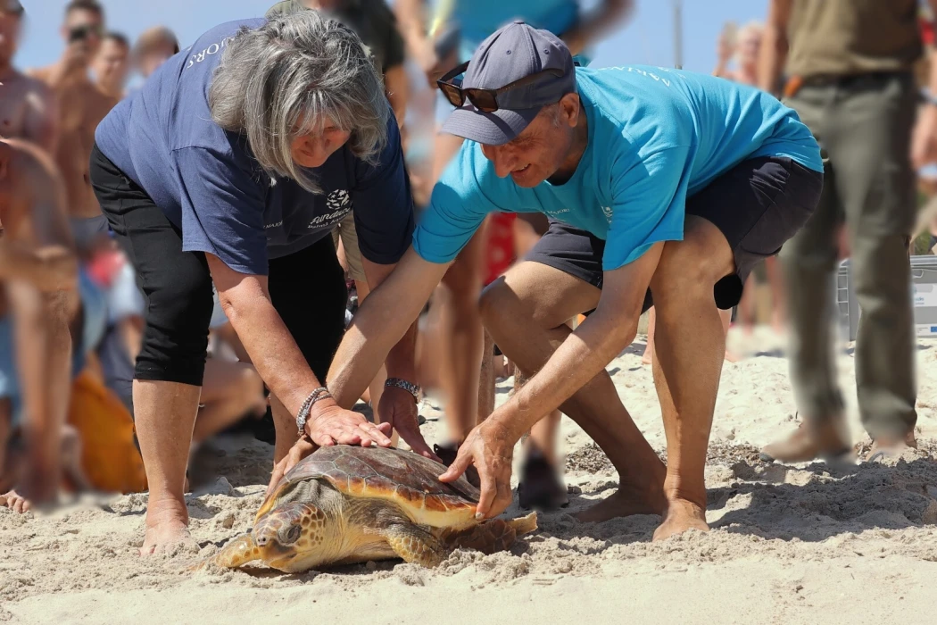 Fundación Palma Aquarium: conservar, investigar y proteger la fauna marina