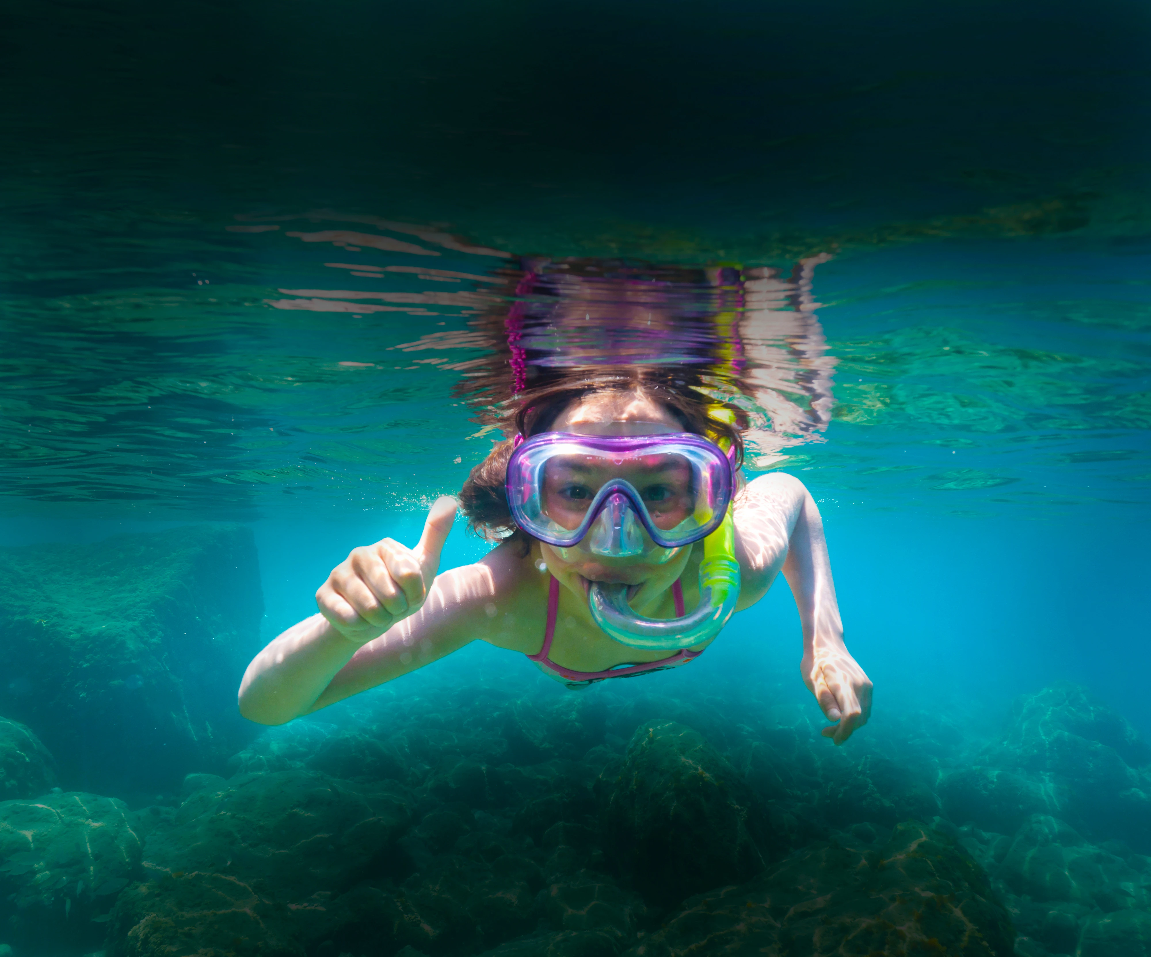 El verano más refrescante te espera en Palma Aquarium
