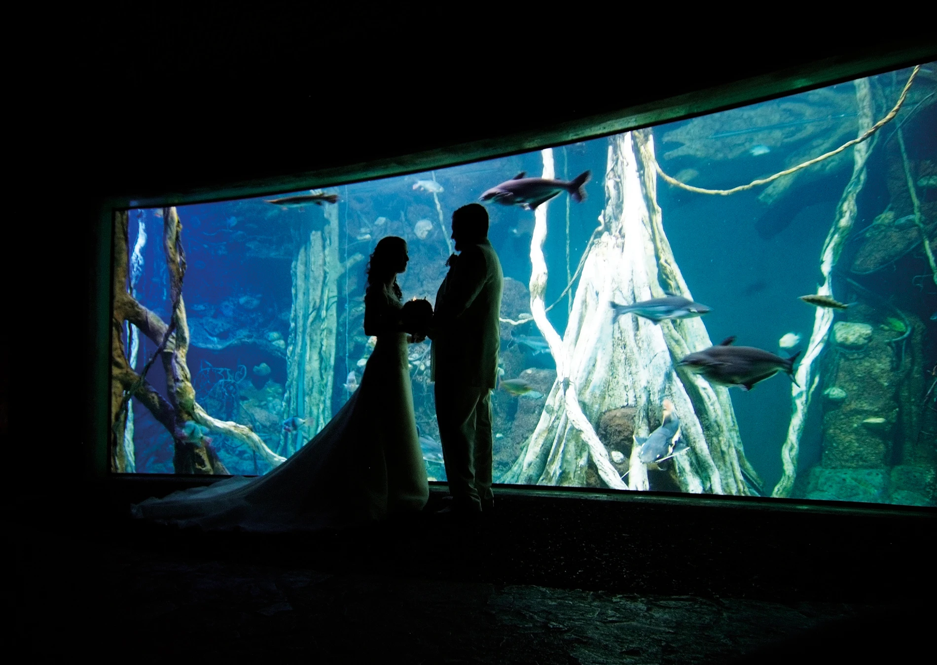 Bodas y banquetes