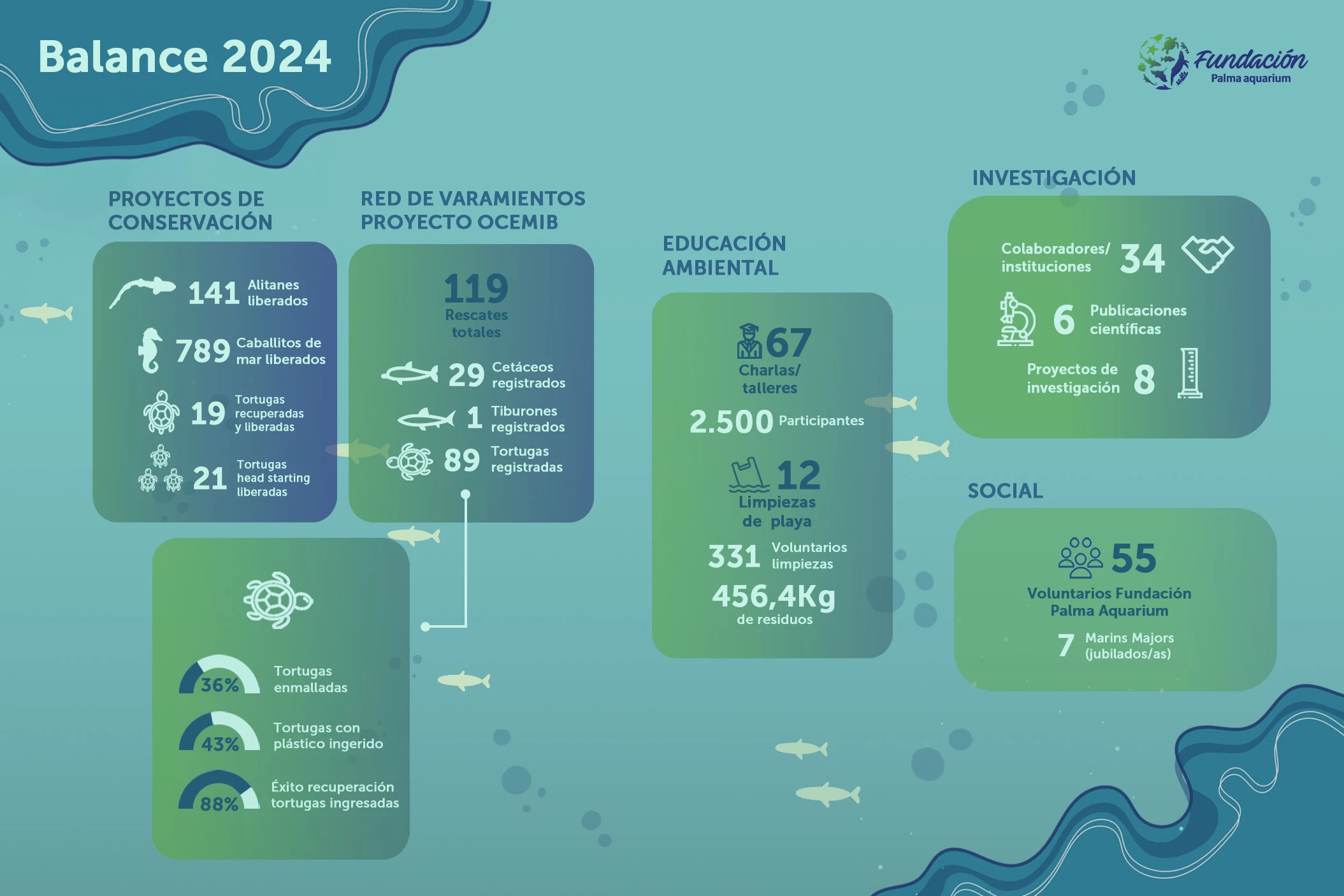 Fundació Palma Aquarium 2024: un any d’èxits en la conservació marina 