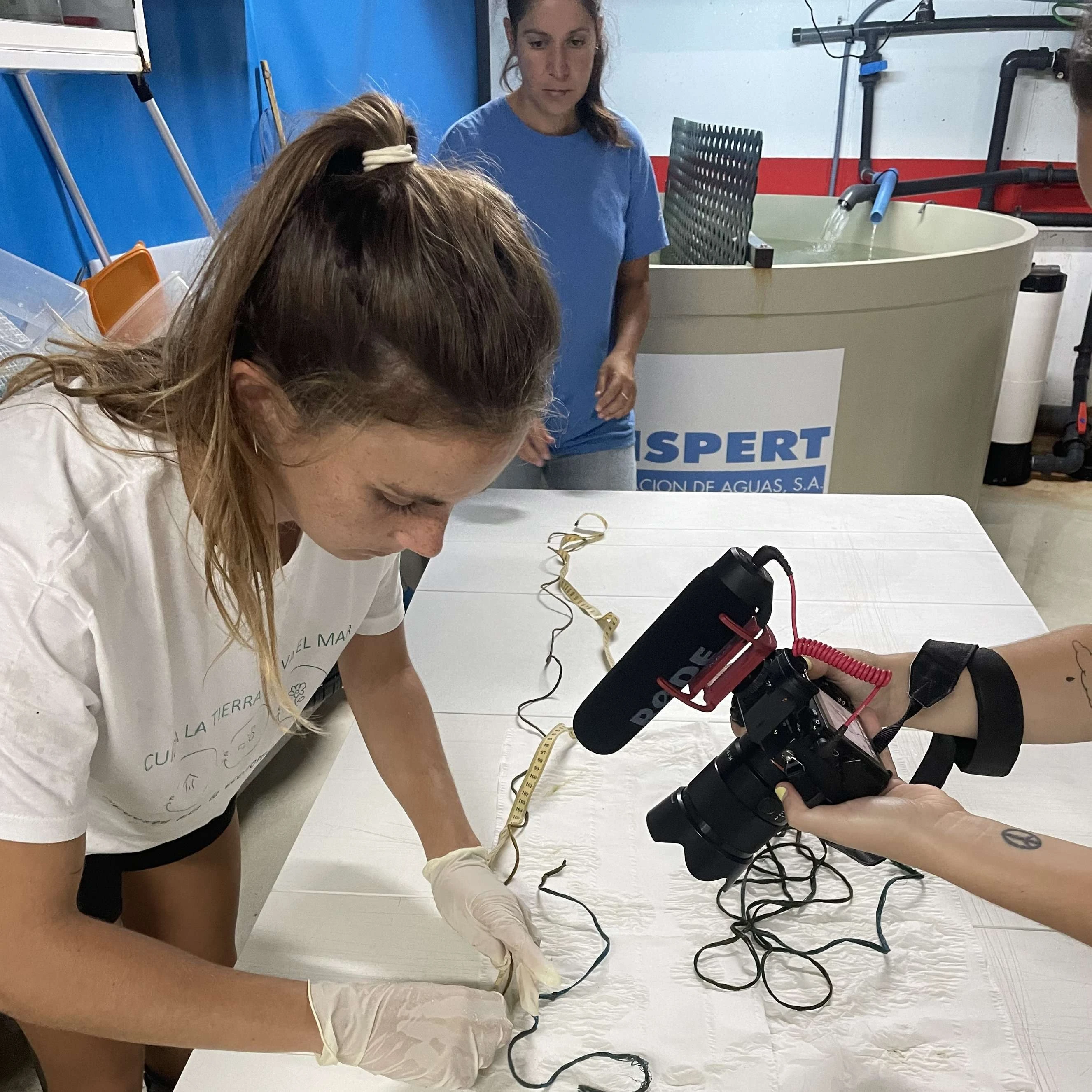 Col·laboracions en projectes científics