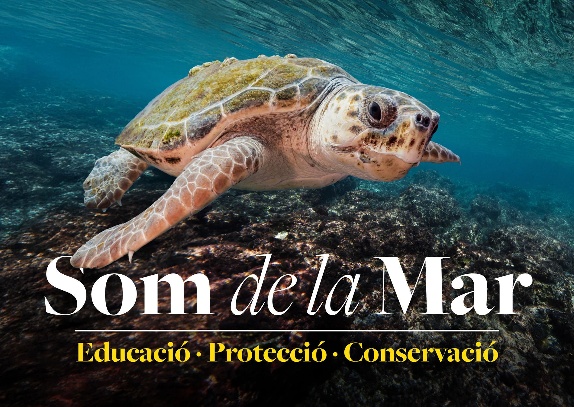 ¡Únete al movimiento “Som de la Mar”!