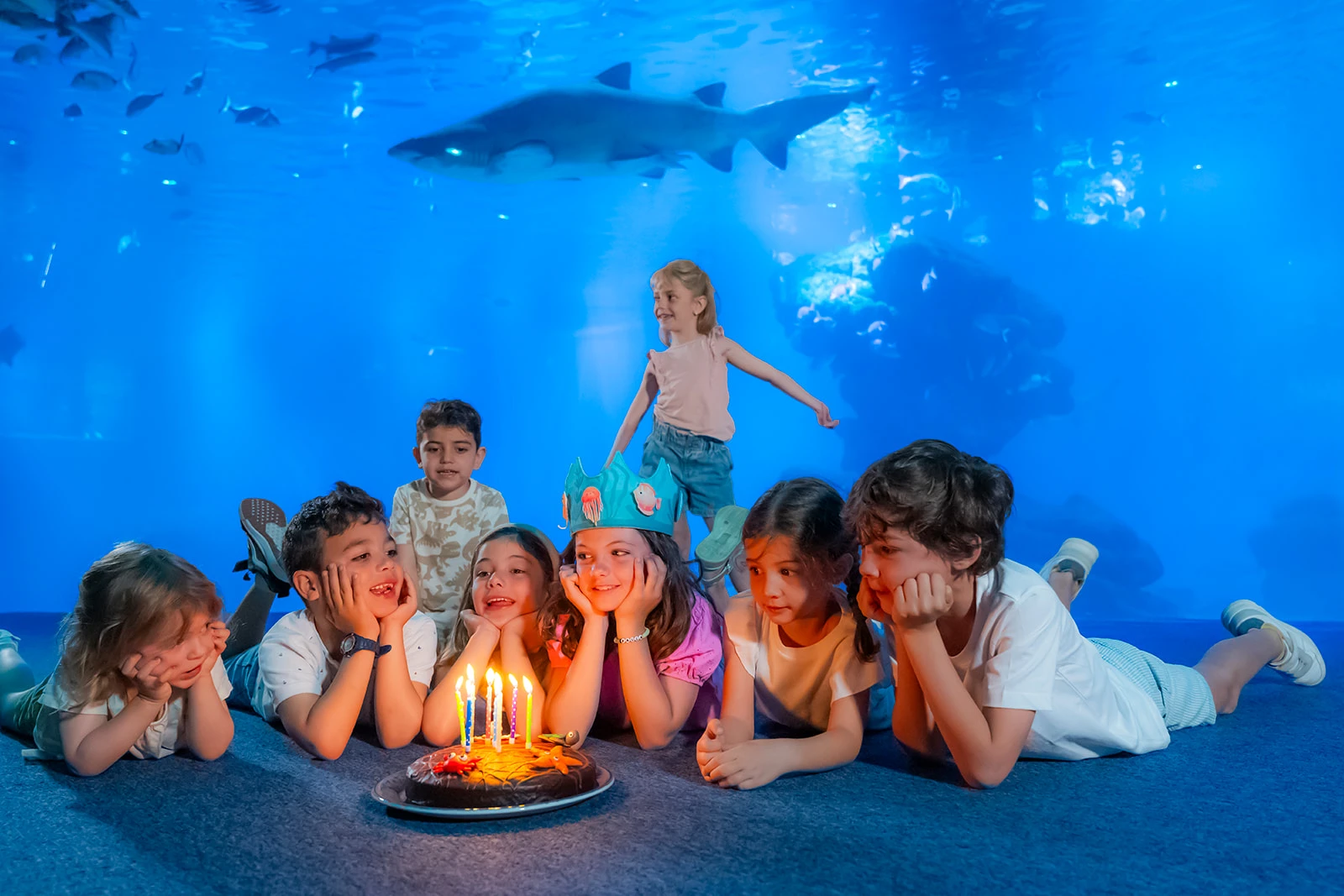Celebra una festa d’aniversari la mar d’original al Palma Aquarium