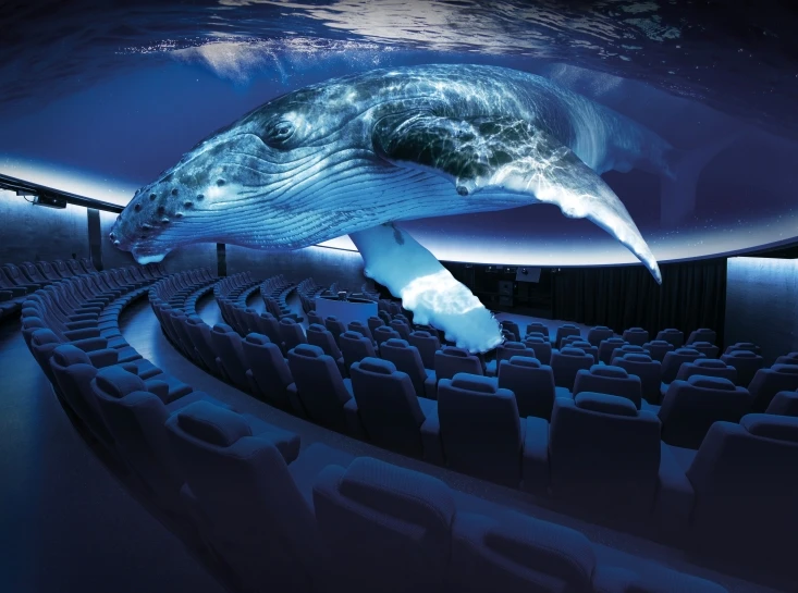Billet + Cinéma 3D Aquadome
