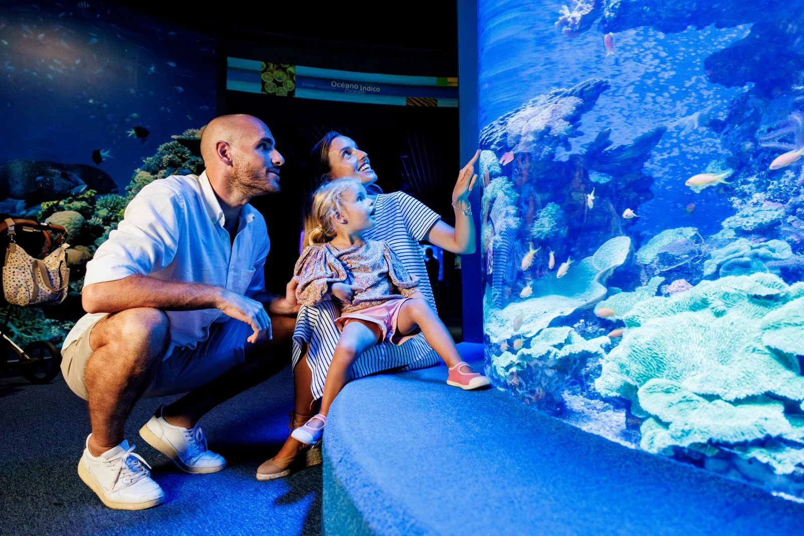Billet + Cinéma 3D Aquadome