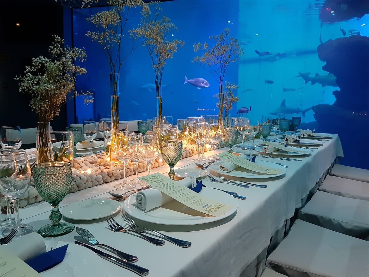 Eventos de empresa en Palma Aquarium: un escenario único para experiencias inolvidables