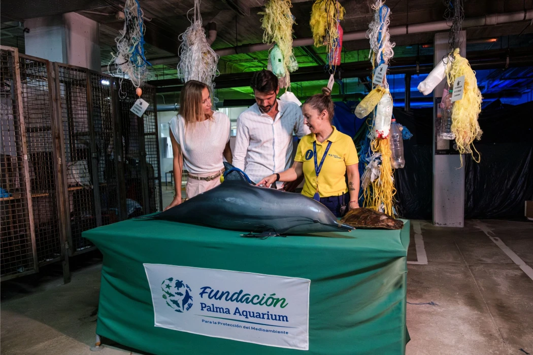 El Palma Aquarium reforça el seu compromís amb l’educació ambiental, la sostenibilitat i la conscienciació marina durant el 2025